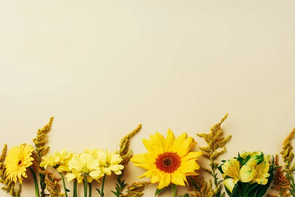 Flat lay with various beautiful flowers arrangement on beige backdrop — Stock Photo