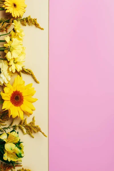 Vue de dessus pour de belles fleurs disposées sur fond beige et rose — Photo de stock