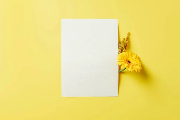 Top view of flowers and white blank card on yellow backdrop — Stock Photo