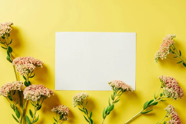 Flat lay with beautiful wildflowers and blank card arranged on yellow backdrop — Stock Photo