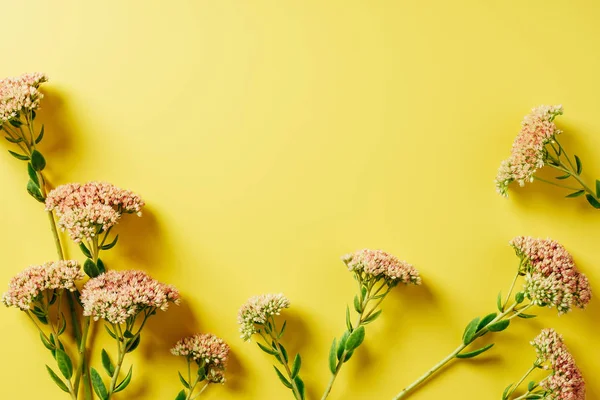 Flat lay com belo arranjo de flores silvestres no fundo amarelo — Fotografia de Stock