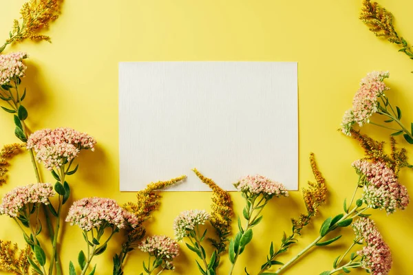 Flat lay with beautiful wildflowers and blank card arranged on yellow backdrop — Stock Photo