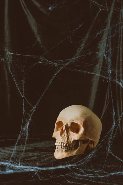 Crânio assustador halloween em pano preto com teia de aranha — Fotografia de Stock