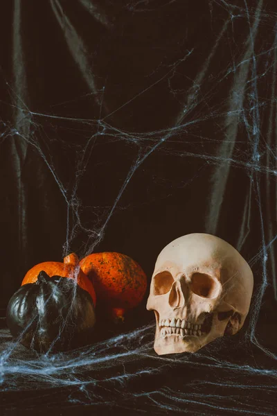 Totenkopf und Halloween-Kürbisse auf schwarzem Tuch mit Spinnennetz — Stockfoto