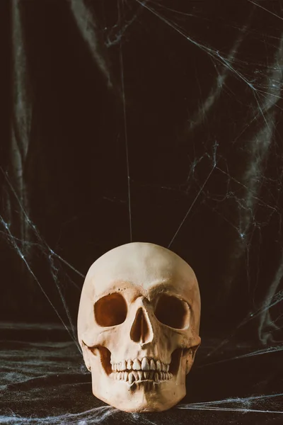 Gloomy halloween skull on black cloth with spider web — Stock Photo