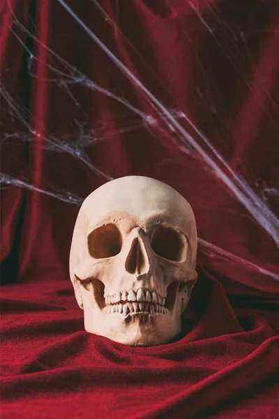 Creepy halloween skull on red cloth with spider web — Stock Photo