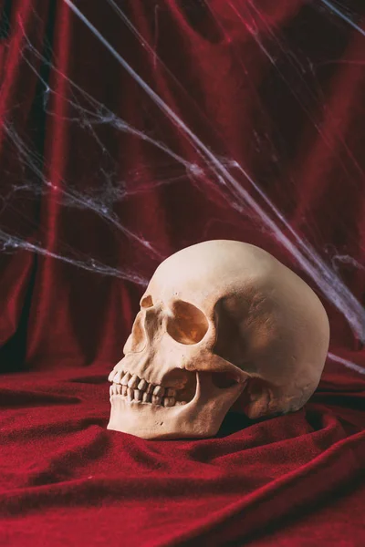 Crânio halloween em pano vermelho com teia de aranha — Fotografia de Stock