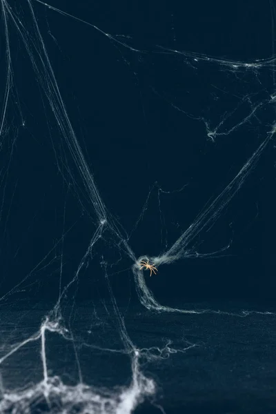 Страшный Хэллоуин фон с белой паутиной и пауком — стоковое фото