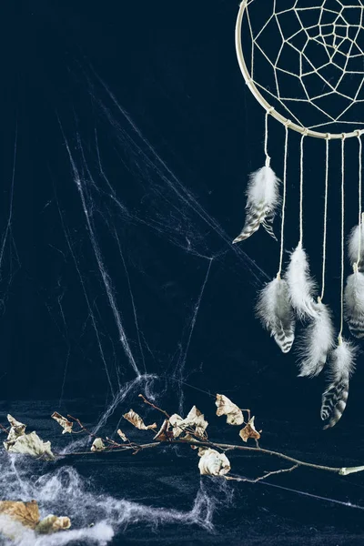 Dreamcatcher avec des plumes dans l'obscurité avec toile d'araignée et branche sèche — Photo de stock