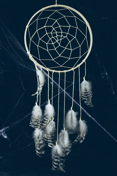 Dreamcatcher with feathers in darkness with spider web — Stock Photo