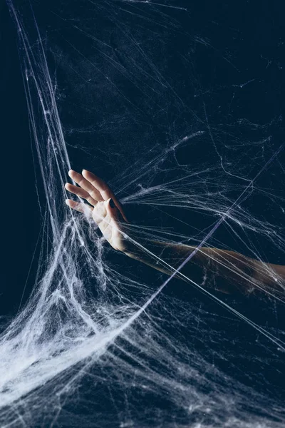 Partial view of woman with hand in spider web in darkness on halloween — Stock Photo