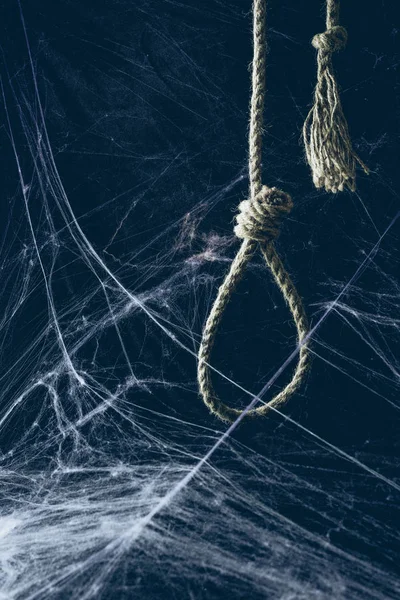 Hangman noose hanging in darkness with spider web, creepy halloween decor — Stock Photo