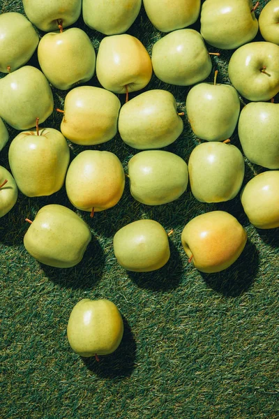 Top view of raw apples on green grass — Stock Photo