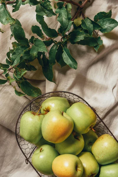 Green apples in metal basket with apple tree leaves on sacking cloth — Stock Photo