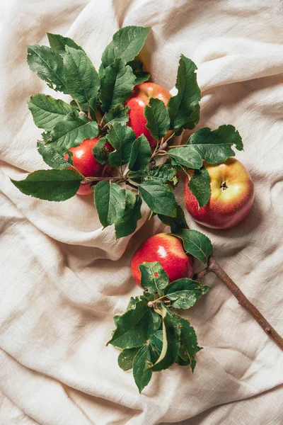 Верхний вид красных яблок и листьев яблони на мешковатой ткани — стоковое фото