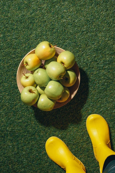 Cropped view of person in yellow rubber boots standing near wooden bowl with apples on green grass — Stock Photo