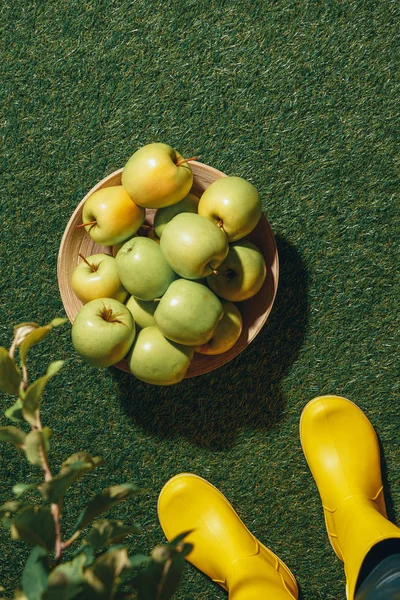 Vista ritagliata di persona in stivali di gomma gialla in piedi vicino a ciotola di legno con mele verdi — Foto stock