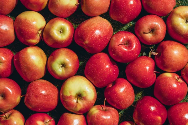 Vista superior de diferentes manzanas sobre fondo de hierba verde - foto de stock