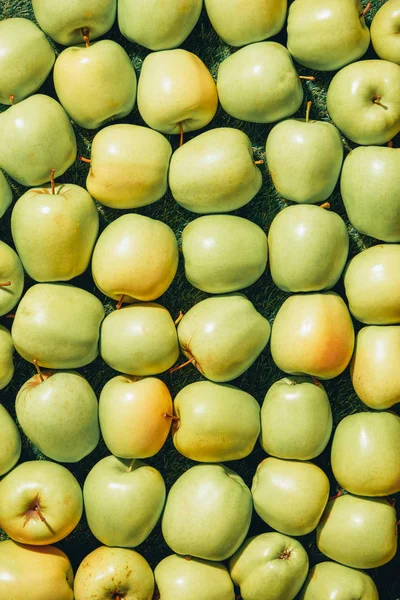 Vista superior da pilha de maçãs na grama verde — Fotografia de Stock