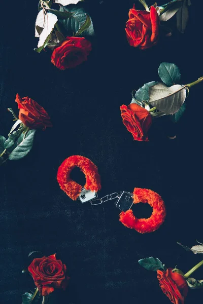 Top view of red fluffy handcuffs and beautiful roses on black — Stock Photo