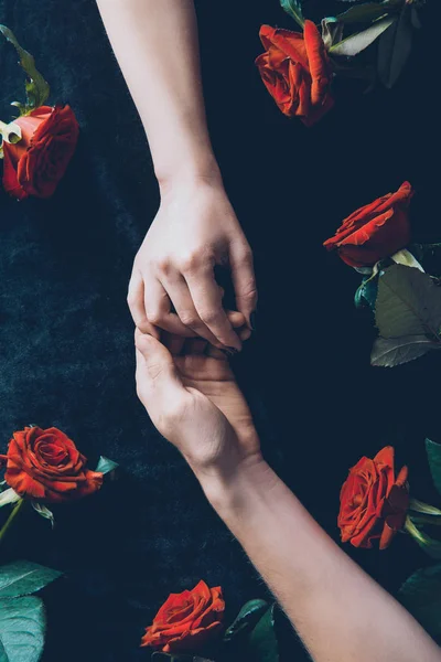 Cropped shot of couple holding hands above black fabric with red roses — Stock Photo