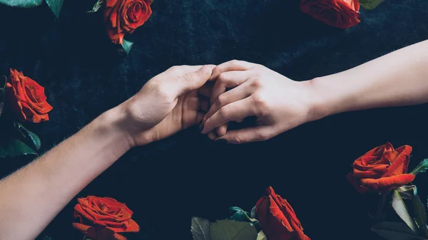 Cropped shot of couple holding hands above black fabric with red roses — Stock Photo