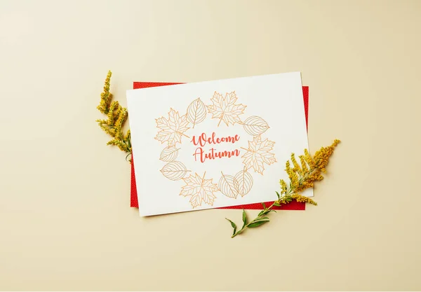 Flat lay com de flores silvestres e cartão branco com letras 