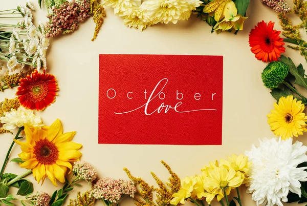 Flat lay with various beautiful flowers and red card with 