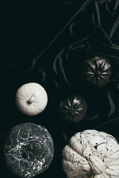 Vista superior de abóboras pintadas a preto e branco decorativas em pano preto com espaço de cópia, design halloween — Stock Photo