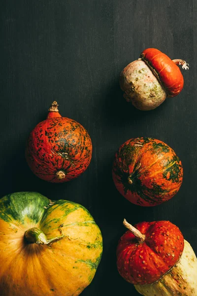 Top view of colorful seasonal pumpkins on dark background — Stock Photo