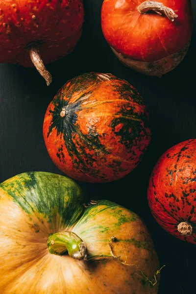 Vue de dessus des citrouilles d'automne sur fond sombre — Photo de stock