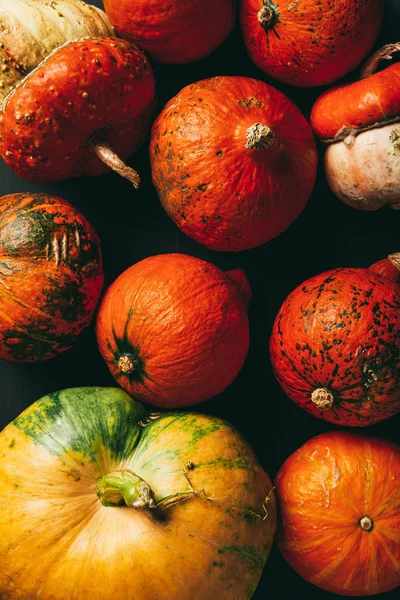 Top view of background with colorful organic pumpkins — Stock Photo