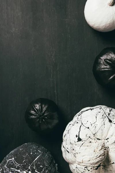 Ansicht von schwarz-weißen Kürbissen mit Farbspritzern auf dunklem Hintergrund mit Kopierraum — Stockfoto