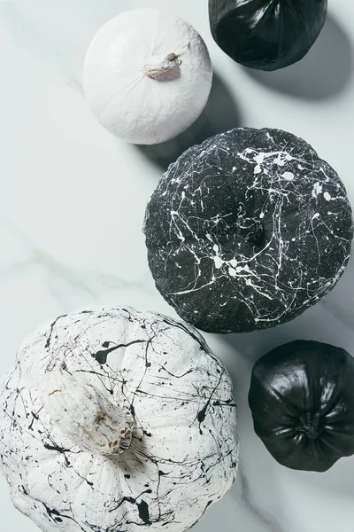 Vista superior de calabazas decorativas en blanco y negro con salpicaduras de pintura, composición de Halloween - foto de stock