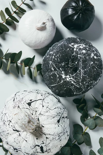 Top view of black and white pumpkins with paint splatters and eucalyptus, traditional halloween decoration — Stock Photo