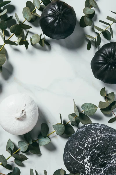 Ansicht von schwarz-weißen Kürbissen mit Eukalyptusblättern, Halloween-Hintergrund mit Kopierraum — Stockfoto