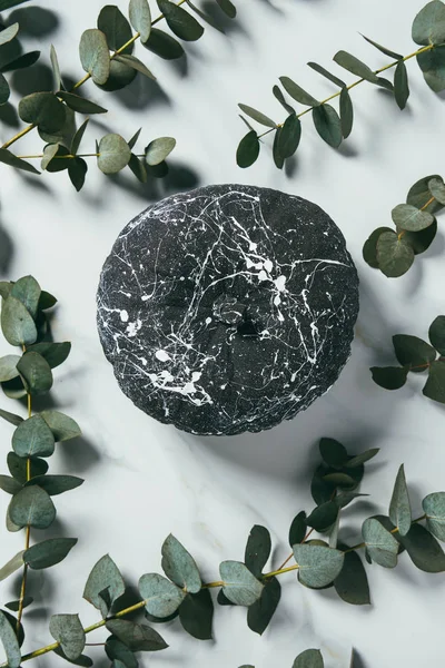 Вид зверху на чорний гарбуз з фарбами, розташованими з листя евкаліпта, прикраса Хеллоуїна — стокове фото