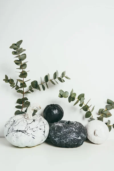 Calabazas blancas y negras con salpicaduras de pintura y hojas de eucalipto, naturaleza muerta de Halloween - foto de stock