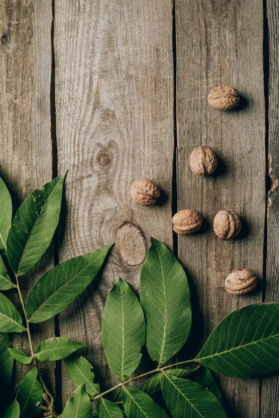 Верхний вид целых органических орехов и зеленых листьев на деревянный стол — стоковое фото