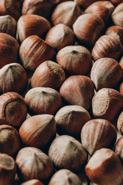 Full frame view of raw ripe organic hazelnuts background — Stock Photo