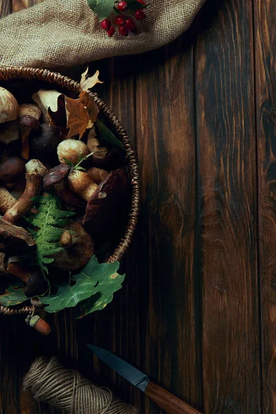 Vista superior de champiñones comestibles recién recogidos en cesta, cuchillo, cuerda y saco sobre mesa de madera - foto de stock