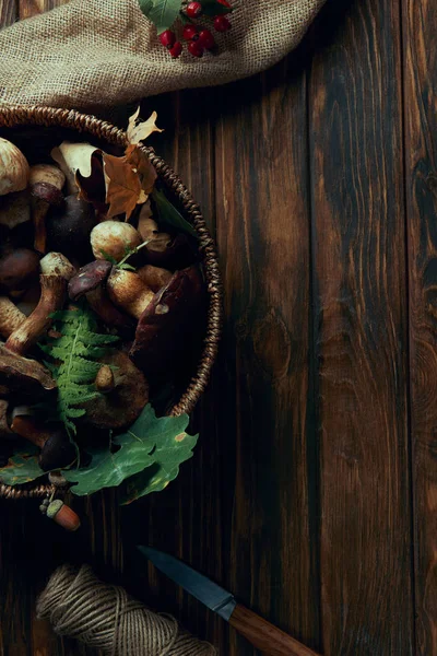 Top view of fresh picked edible mushrooms in basket, knife, rope and sackcloth on wooden table — Stock Photo