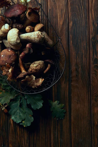 Top view of fresh picked edible mushrooms in basket and green oak leaves on wooden table — Stock Photo