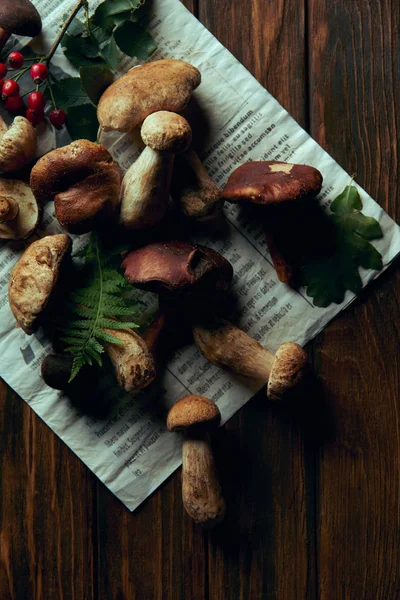 Cogumelos comestíveis frescos escolhidos em jornal e samambaia em mesa de madeira — Stock Photo