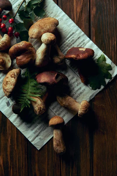 Champiñones comestibles recién recogidos en el periódico y helecho en la mesa de madera - foto de stock