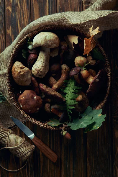 Vista superior de varios champiñones frescos crudos comestibles en cesta, cuchillo y cuerda en mesa de madera - foto de stock