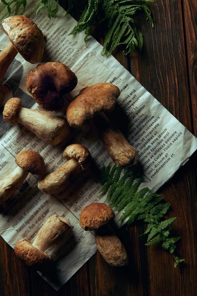 Vista superior de las setas frescas de boletus edulis recogidas en el periódico y helecho en la mesa de madera - foto de stock