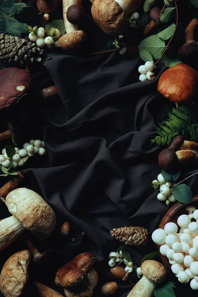 Top view of various raw edible mushrooms on black fabric — Stock Photo