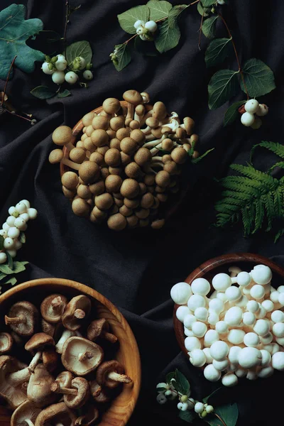 Top view of fresh raw edible mushrooms on bowls on dark fabric — Stock Photo