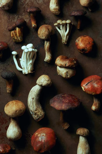 Вид зверху асорті сирих їстівних грибів на темному гранжевому фоні — стокове фото